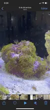 [TodoMarino.com] Cambio en acuario asentado