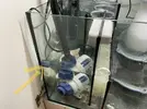 [TodoMarino.com] Primer dia de ciclado, lio con nivel en el sump , ruidos, skymmer ..etc