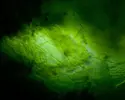 [TodoMarino.com] El Reef de Little