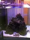 [TodoMarino.com] El Reef de Little