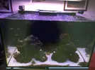 [TodoMarino.com] El Reef de Little