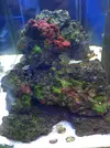 [TodoMarino.com] El Reef de Little