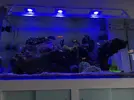 [TodoMarino.com] Vendo acuario completo , Barcelona (no envió)