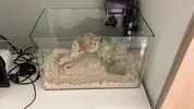 [TodoMarino.com] Nano reef 23 litros sin skimmer