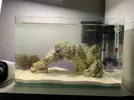 [TodoMarino.com] Nano reef 23 litros sin skimmer