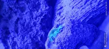 [TodoMarino.com] Poner aquí la foto de vuestro acuario...