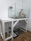 [TodoMarino.com] DESMONTE REEF 230 LITROS MAS SUMP URGE😢!!!