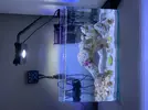 [TodoMarino.com] Nano reef 23 litros sin skimmer