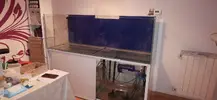 [TodoMarino.com] Tanteo de venta de acuario marino.