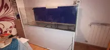 [TodoMarino.com] Tanteo de venta de acuario marino.