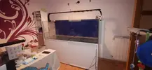 [TodoMarino.com] Tanteo de venta de acuario marino.