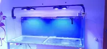[TodoMarino.com] Tanteo de venta de acuario marino.