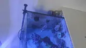 [TodoMarino.com] Movimiento vortech