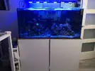 [TodoMarino.com] Acuario 390l + sump + mueble ¡Rebajado!