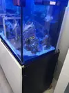 [TodoMarino.com] Acuario 390l + sump + mueble ¡Rebajado!