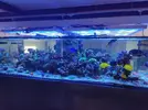 [TodoMarino.com] Acuario 3200 Litros
