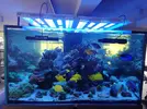 [TodoMarino.com] Acuario 3200 Litros