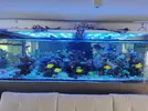 [TodoMarino.com] Acuario 3200 Litros