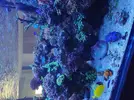 [TodoMarino.com] Acuario 3200 Litros