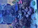 [TodoMarino.com] Acuario 3200 Litros