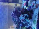 [TodoMarino.com] Acuario 3200 Litros