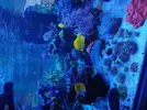 [TodoMarino.com] Acuario 3200 Litros