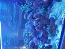 [TodoMarino.com] Acuario 3200 Litros