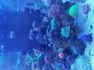 [TodoMarino.com] Acuario 3200 Litros