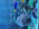 [TodoMarino.com] Acuario 3200 Litros