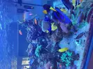 [TodoMarino.com] Acuario 3200 Litros