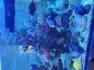 [TodoMarino.com] Acuario 3200 Litros
