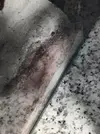 [TodoMarino.com] (nuevas fotos microscopio) ayuda Dinos y ciano