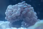 [TodoMarino.com] El Reef de Little