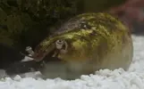 [TodoMarino.com] El Reef de Little