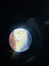 [TodoMarino.com] (nuevas fotos microscopio) ayuda Dinos y ciano