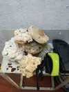 [TodoMarino.com] TODO REGALADO CERRADO
