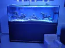 [TodoMarino.com] Acuario completo