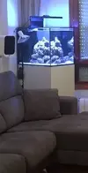 [TodoMarino.com] Vendido. Acuario Cubicus de Aqua Medic