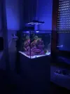 [TodoMarino.com] Vendido. Acuario Cubicus de Aqua Medic