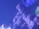 [TodoMarino.com] Ayuda con... Alga??