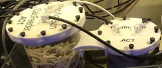 [TodoMarino.com] Venta Calc Fedeer