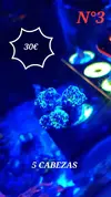 [TodoMarino.com] Euphyllia y Utter chaos zoas