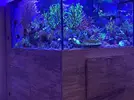 [TodoMarino.com] Acuario y material por desmonte