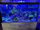 [TodoMarino.com] Acuario y material por desmonte