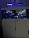 [TodoMarino.com] Vendo acuario completo