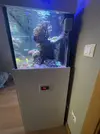 [TodoMarino.com] Vendo acuario completo