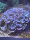 [TodoMarino.com] Vendo acuario completo