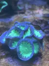 [TodoMarino.com] Vendo acuario completo
