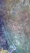 [TodoMarino.com] Identificar algas.