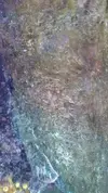 [TodoMarino.com] Identificar algas.